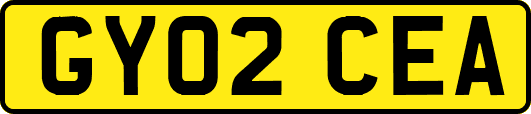 GY02CEA