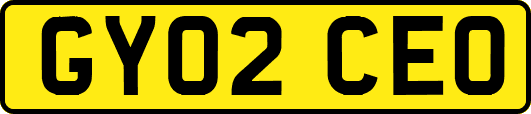GY02CEO
