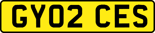 GY02CES