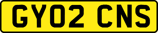 GY02CNS