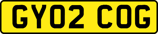 GY02COG