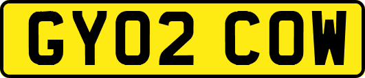 GY02COW