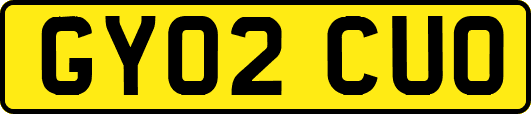 GY02CUO