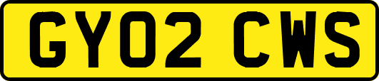 GY02CWS