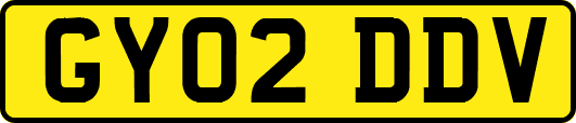 GY02DDV