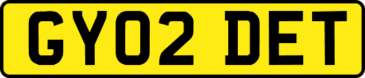 GY02DET