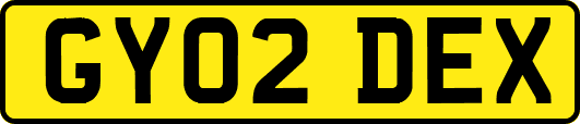 GY02DEX