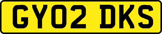 GY02DKS
