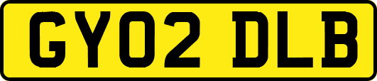 GY02DLB