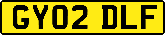 GY02DLF