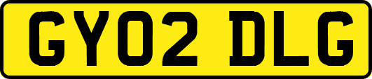GY02DLG