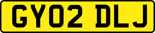 GY02DLJ