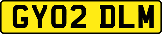 GY02DLM