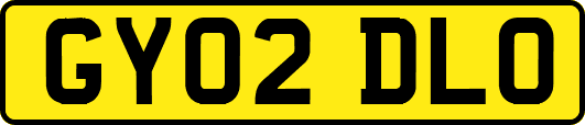 GY02DLO