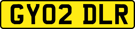 GY02DLR