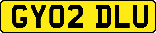 GY02DLU