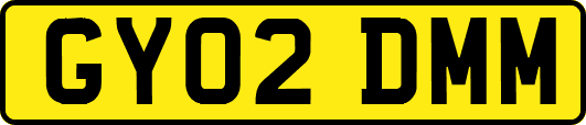 GY02DMM
