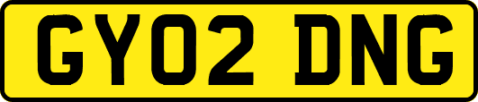 GY02DNG