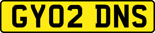 GY02DNS
