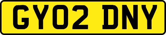 GY02DNY