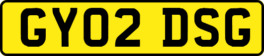 GY02DSG