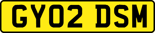 GY02DSM