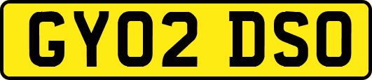 GY02DSO