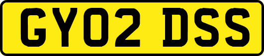 GY02DSS