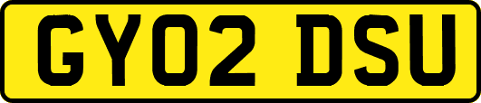 GY02DSU