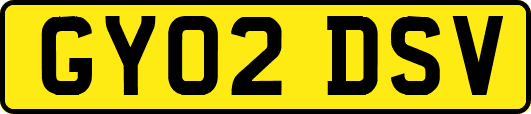 GY02DSV