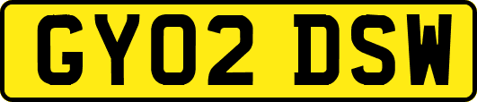 GY02DSW