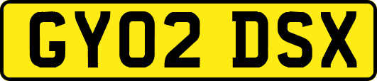 GY02DSX
