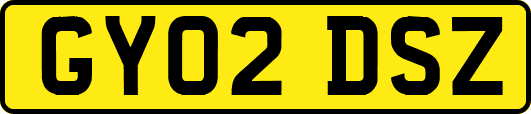 GY02DSZ