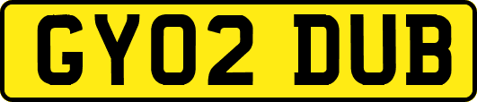 GY02DUB