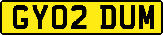 GY02DUM