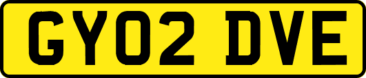GY02DVE