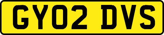 GY02DVS