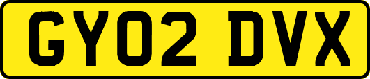 GY02DVX