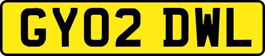 GY02DWL