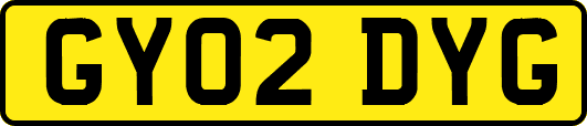 GY02DYG