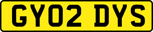 GY02DYS