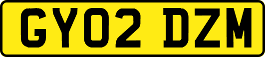 GY02DZM