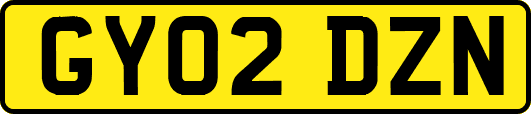 GY02DZN