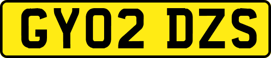 GY02DZS