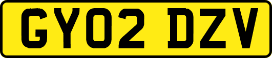 GY02DZV