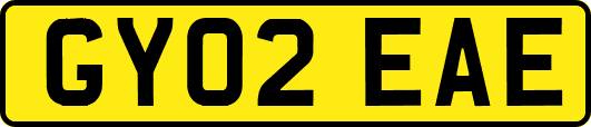 GY02EAE