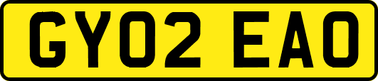 GY02EAO
