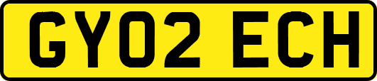 GY02ECH