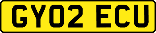 GY02ECU