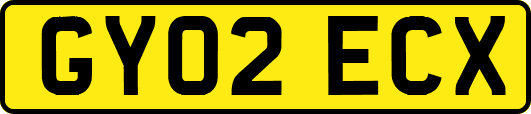 GY02ECX